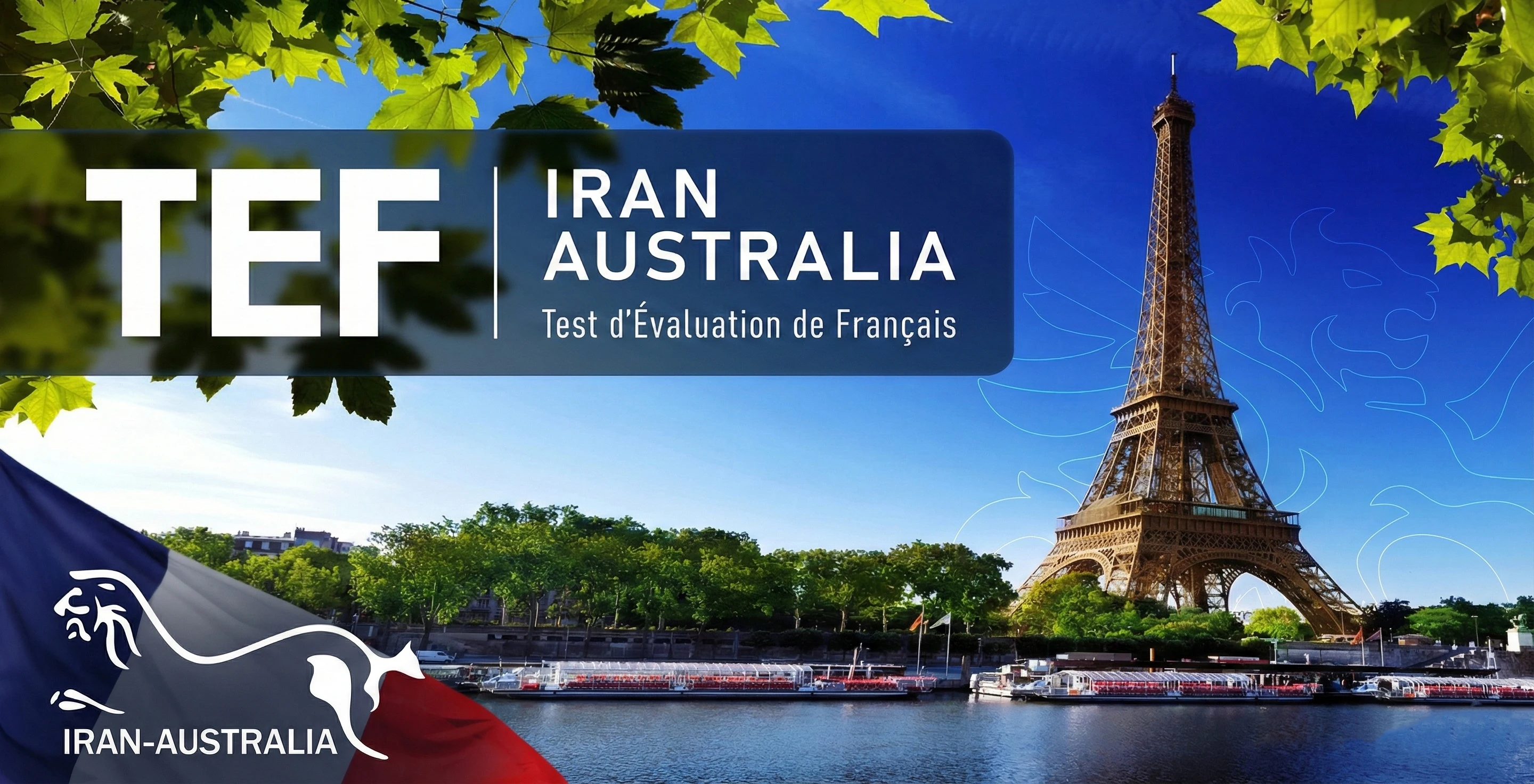 آزمون TEF چیست؟