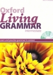 Living Grammar